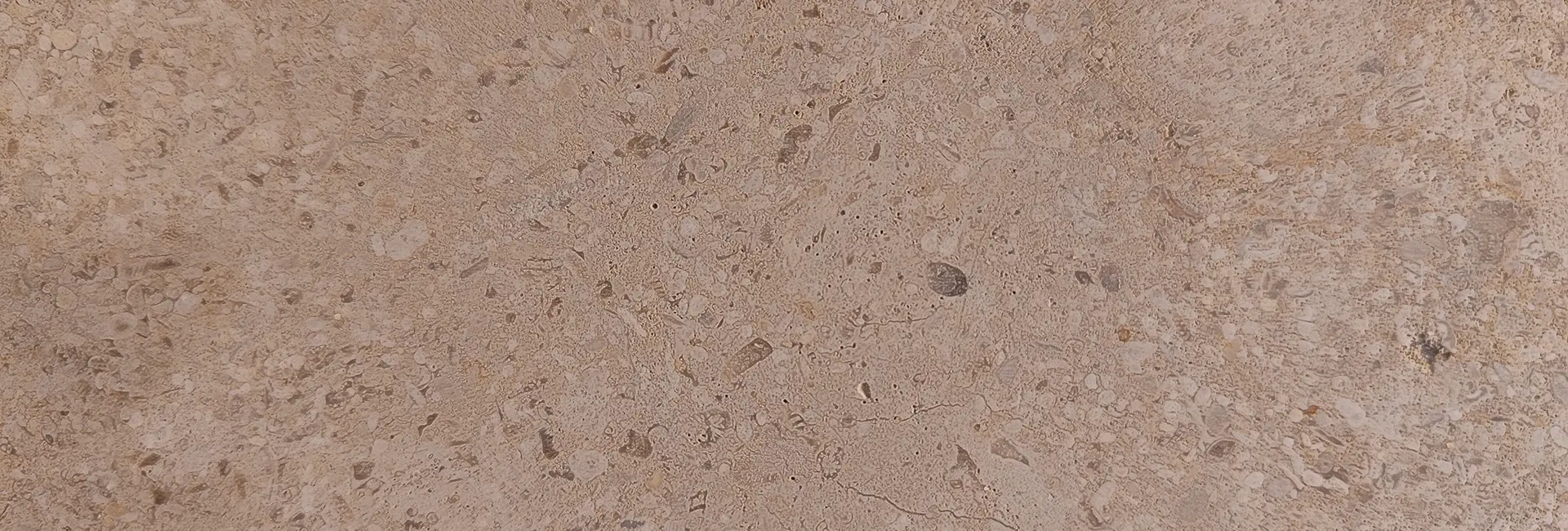 Detalle Piedra